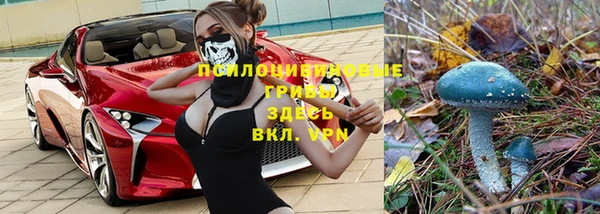 прущие крисы Михайлов