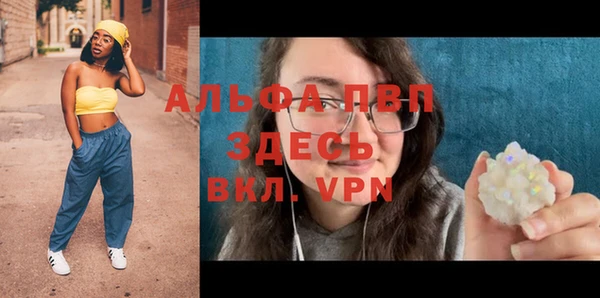 прущие грибы Железногорск-Илимский