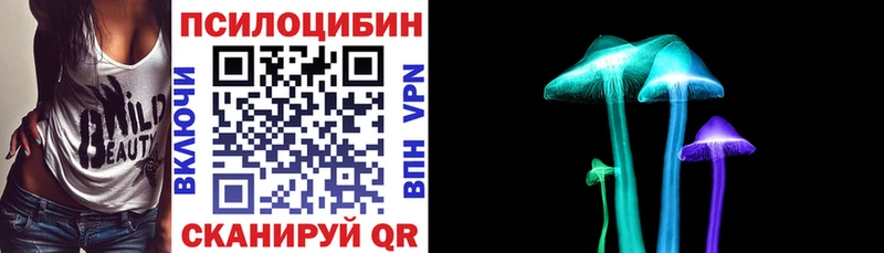 Псилоцибиновые грибы Psilocybine cubensis МЕГА ССЫЛКА Каменка