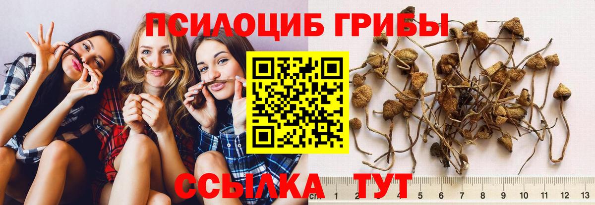 цена наркотик  Вход с VPN  Каменка  Псилоцибиновые грибы мухоморы 