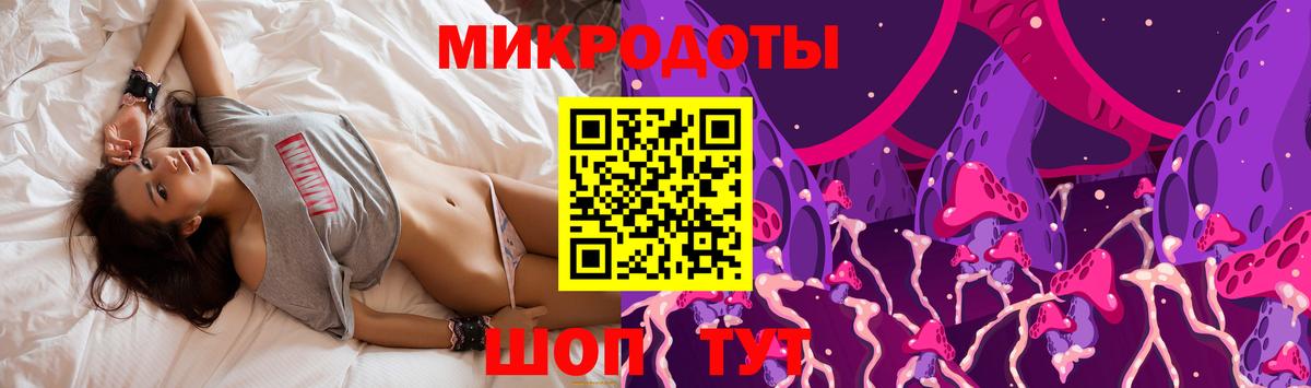 Галлюциногенные грибы Psilocybe  Каменка  Псилоцибиновые грибы Psilocybine cubensis 