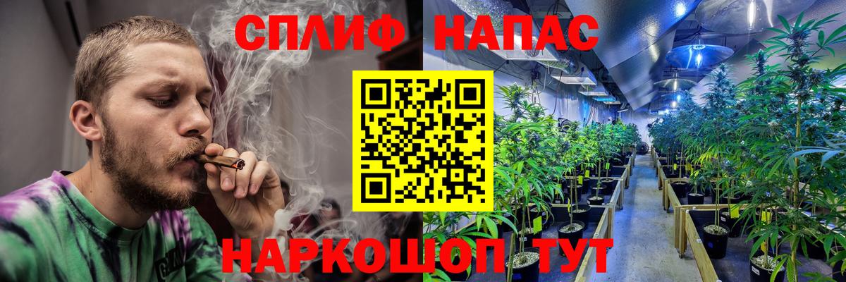 Бошки марихуана Ganja  Канабис план  Шишки марихуана White Widow  Каменка  Канабис сатива 